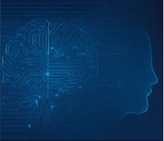 WhatsApp Image 2025 06 23 at 8.27.48 AM