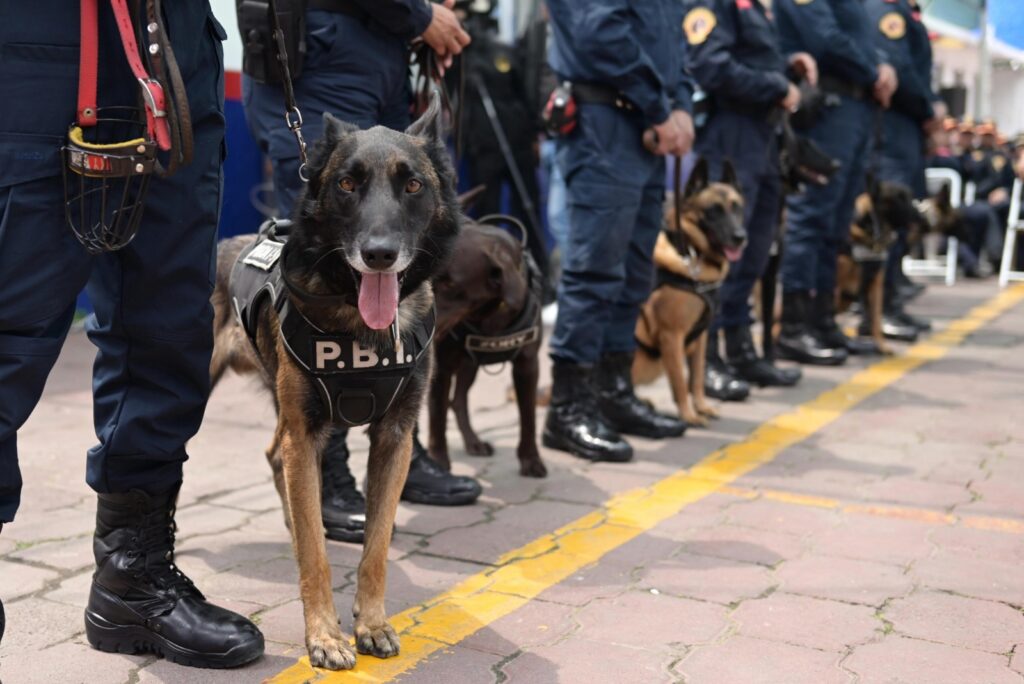 WhatsApp Image 2025 07 15 at 6.55.23 PM 2